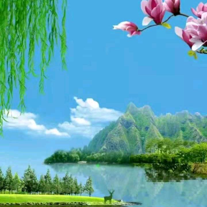 🍁枫🍁