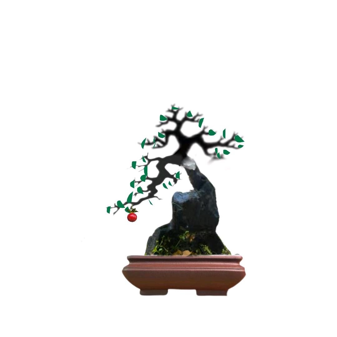 修改的头像