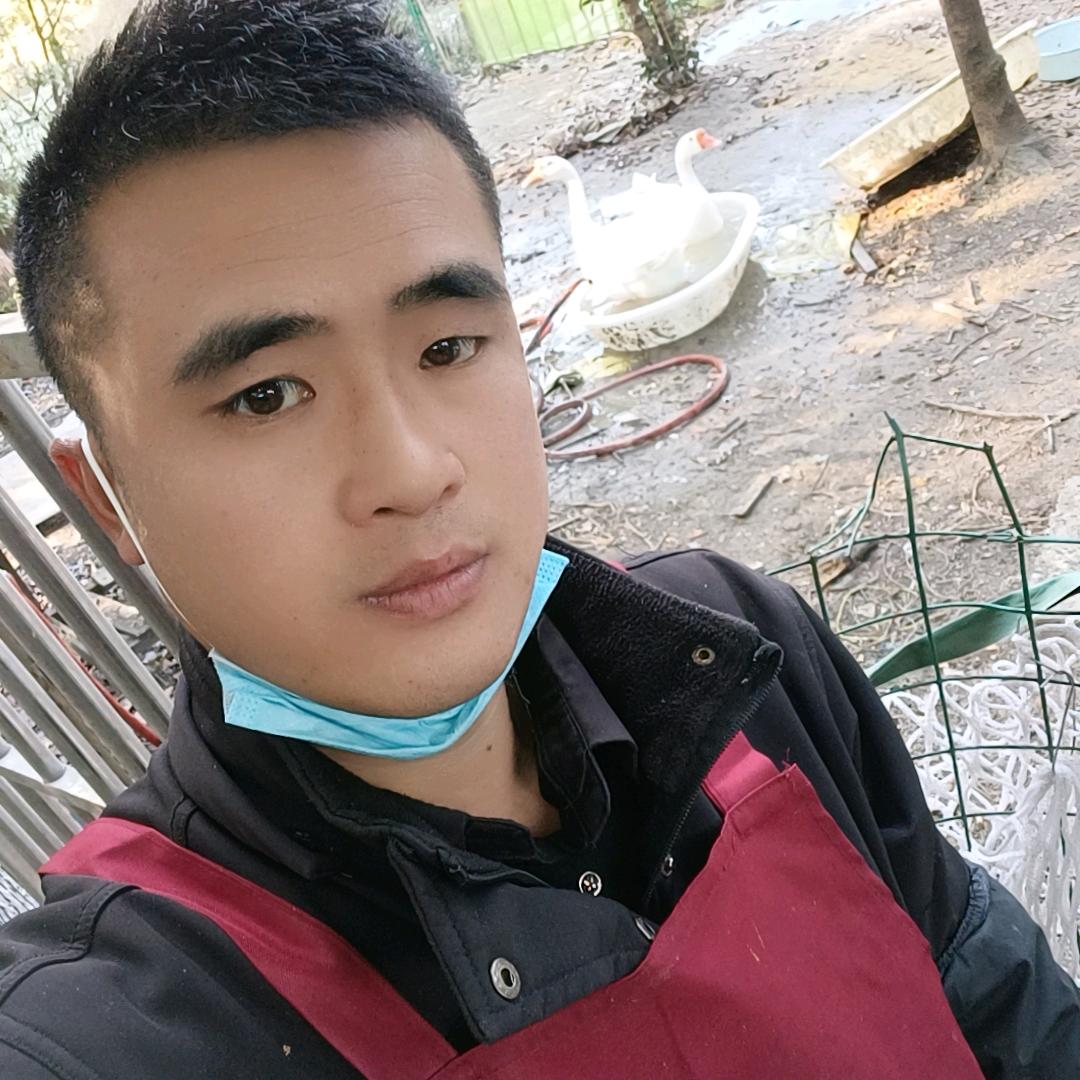 发财鸭鹅《阳阳》