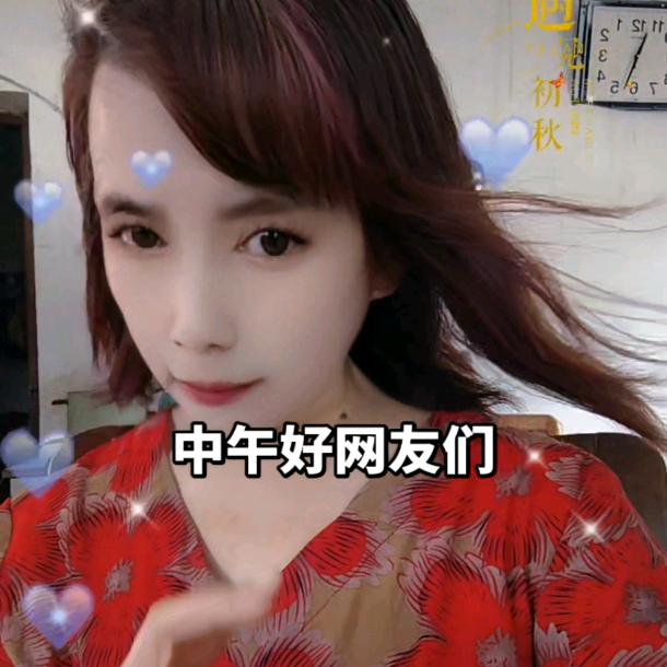 比熊-宝