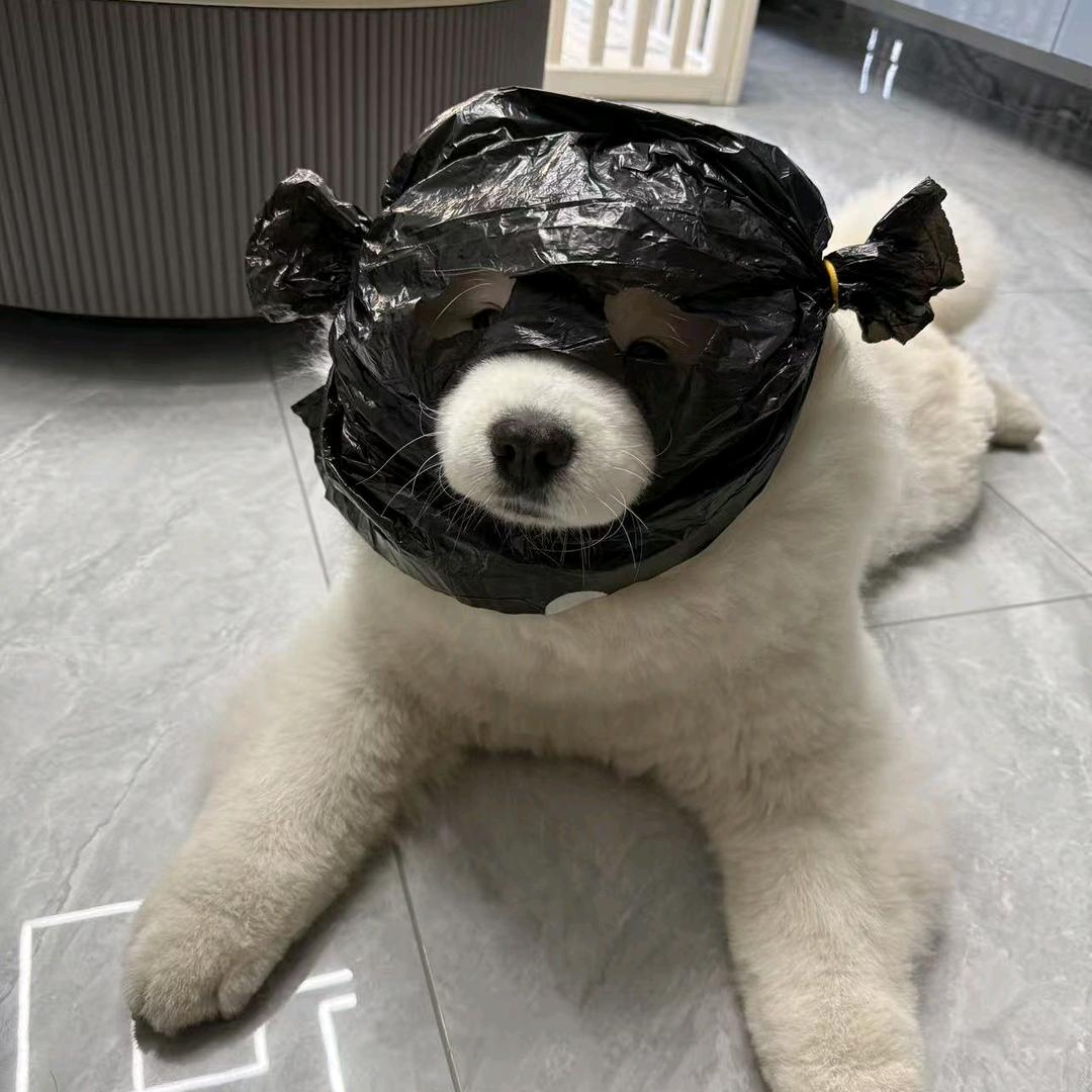 奶黄包