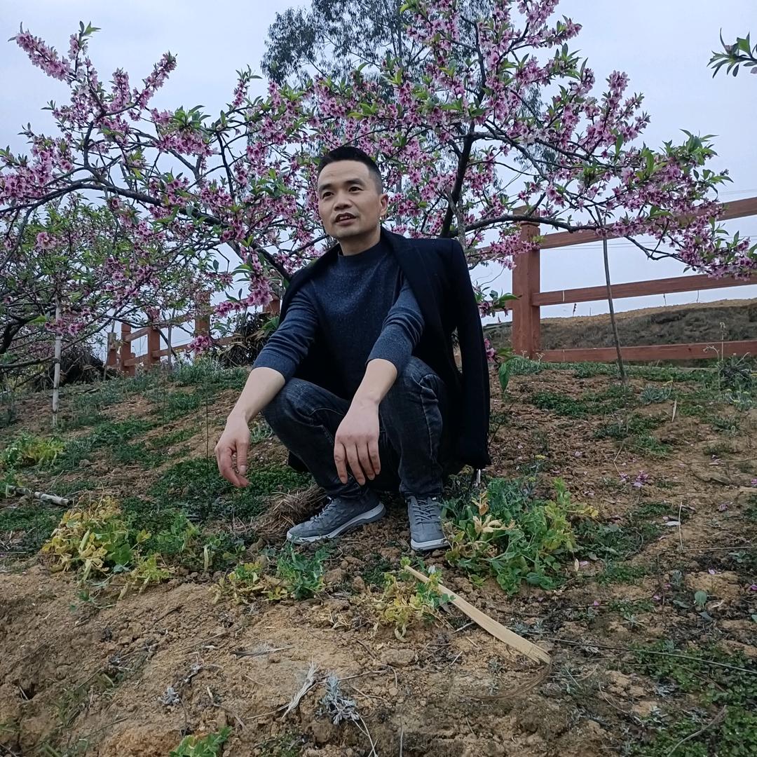 建辉