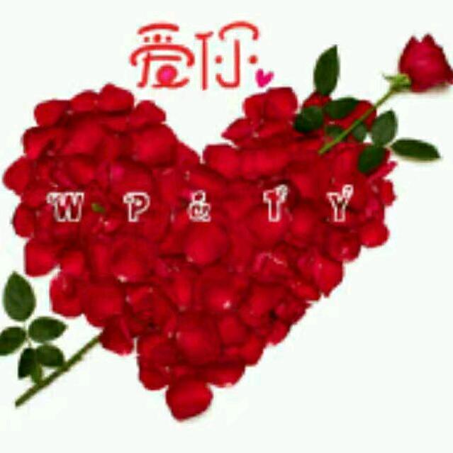 风雨人生（相伴）