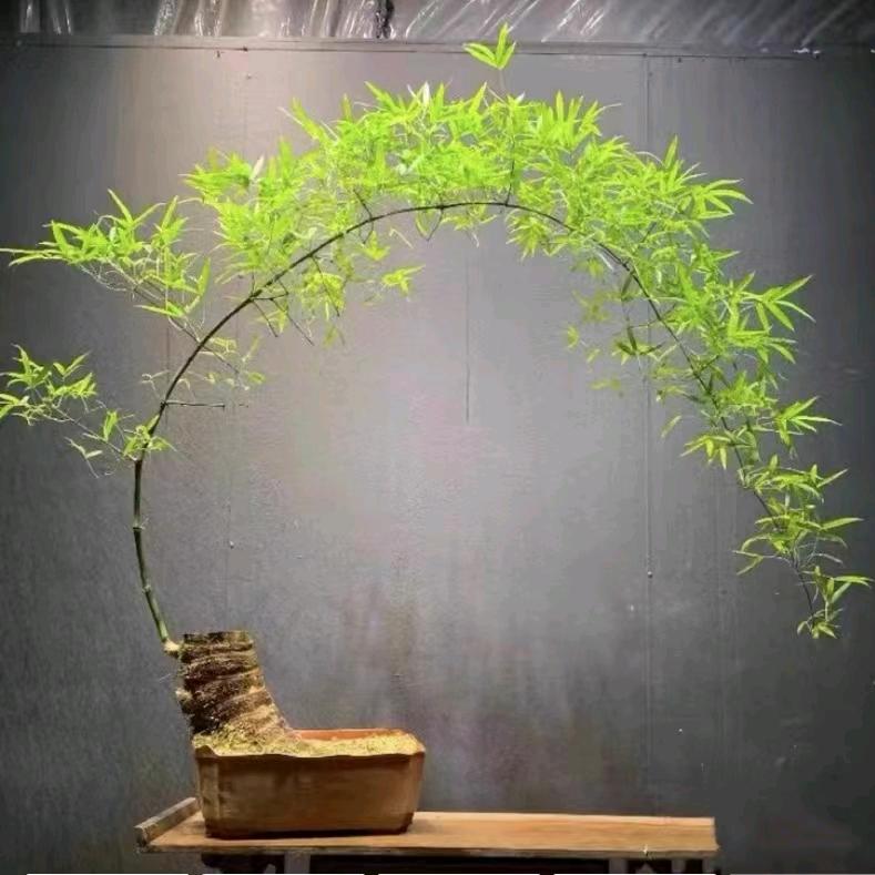 刚铁直男