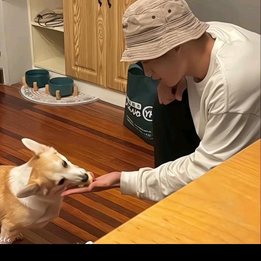 倾心相遇，安暖相陪