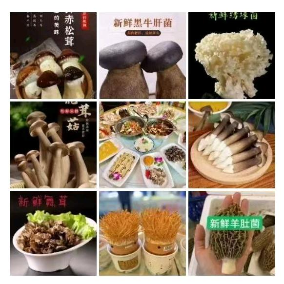 山东菜菇妹农产品