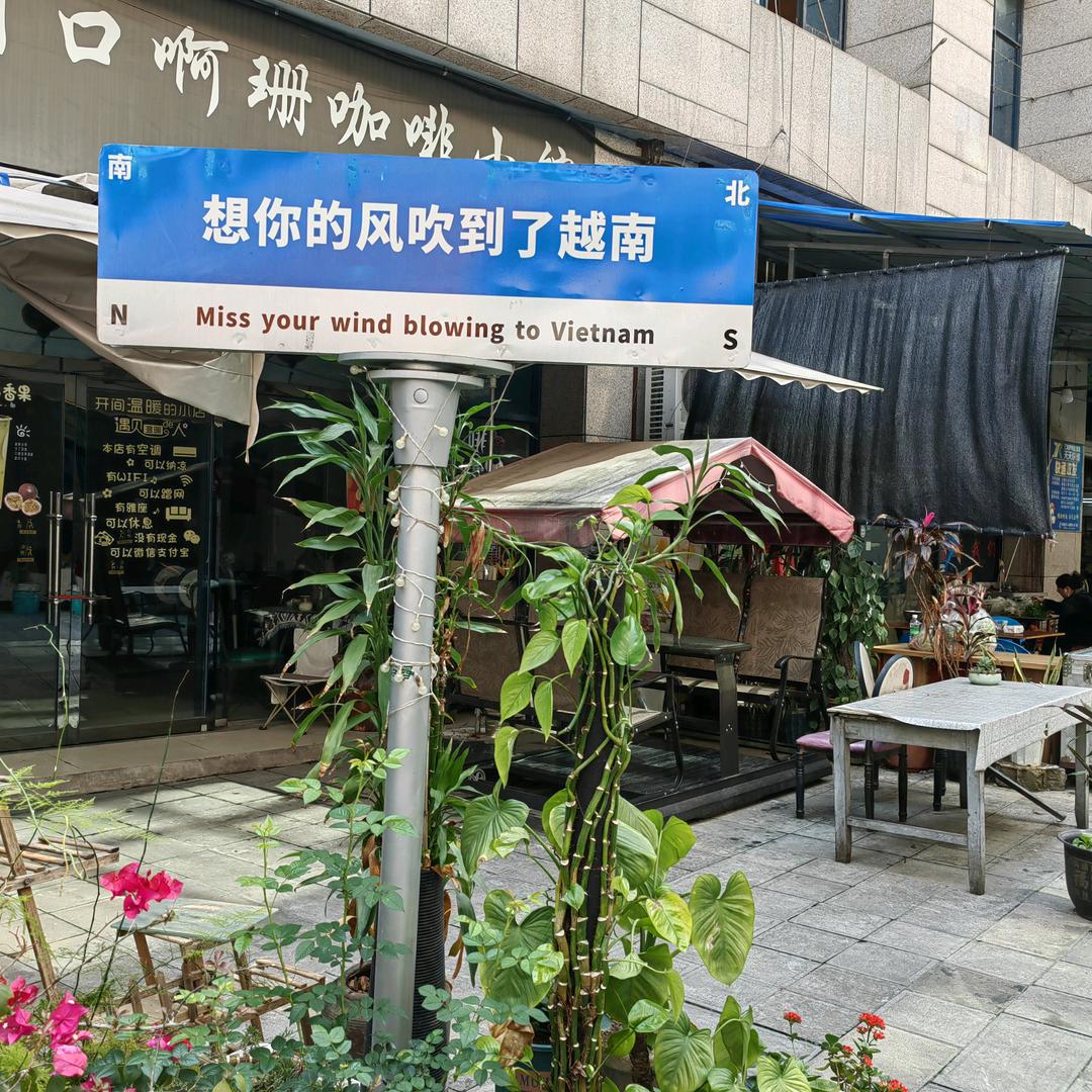 走南闯北的元哥
