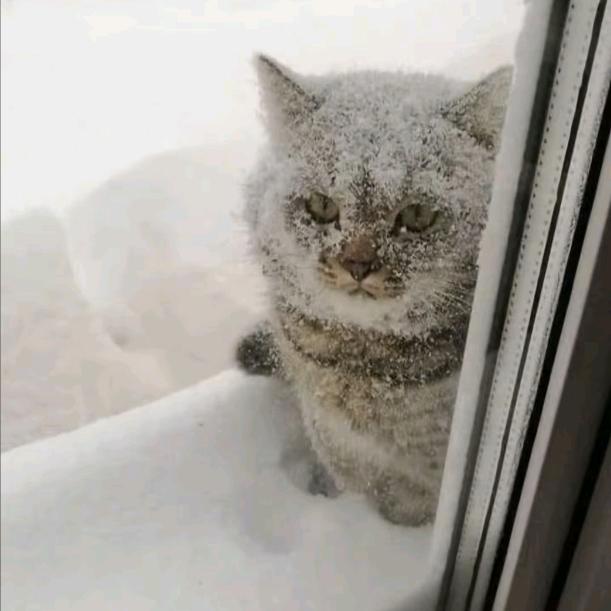 里予原亲斤之且力