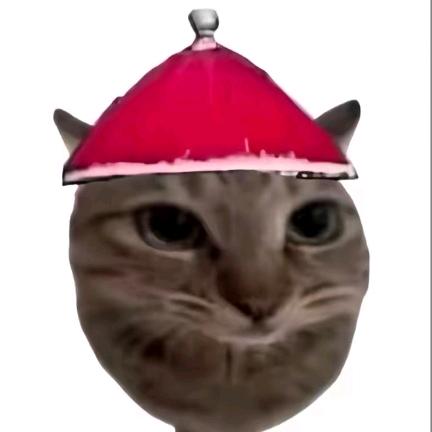 Zmm