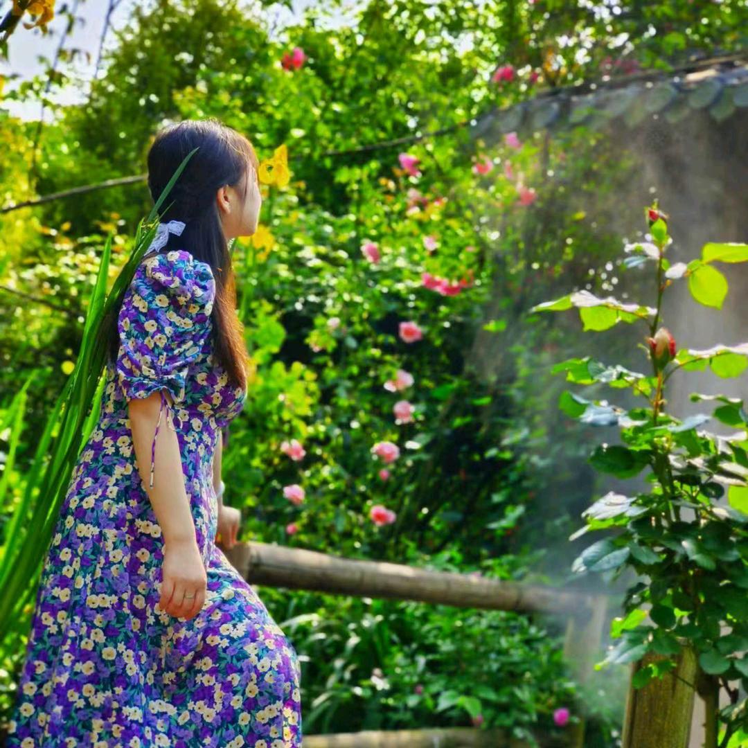 霞菇娘