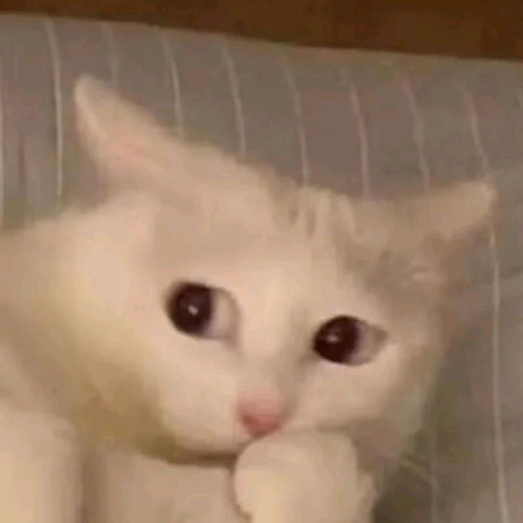 蛤？
