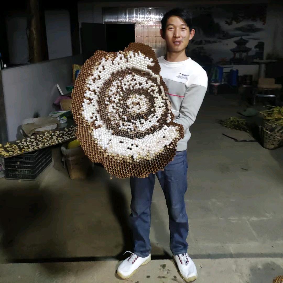 蒲川胡峰蚂蚱养殖一条龙服务