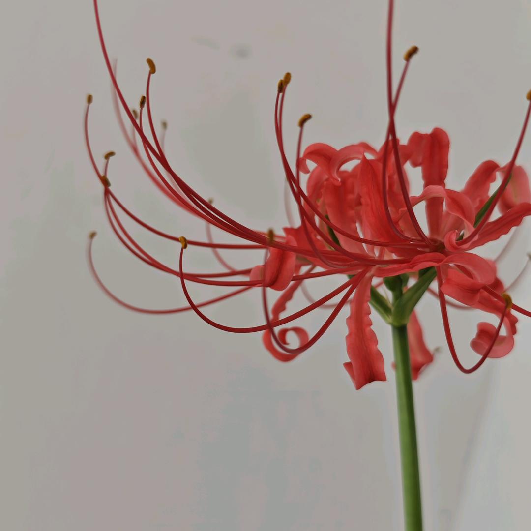 铃