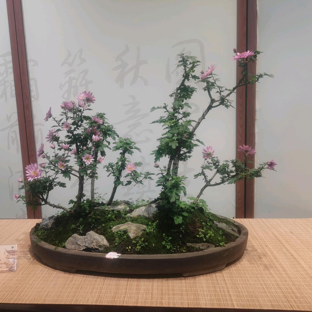 花境