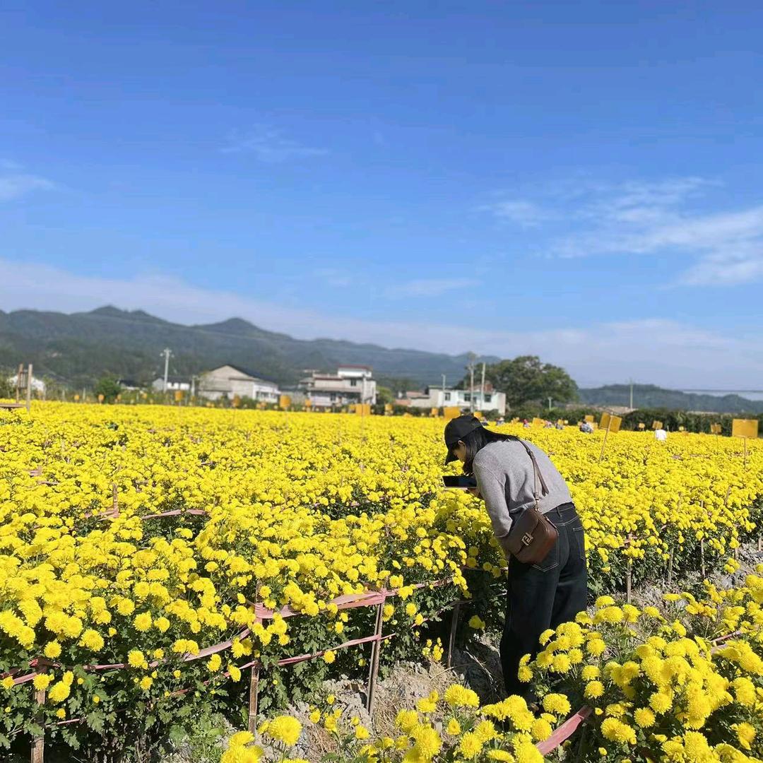 鼓楼法勃尔男装梁