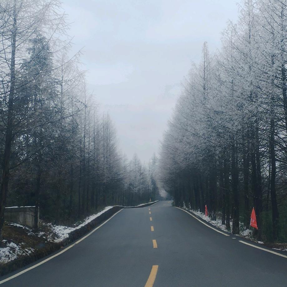 每天一个趴地虎保证不空军