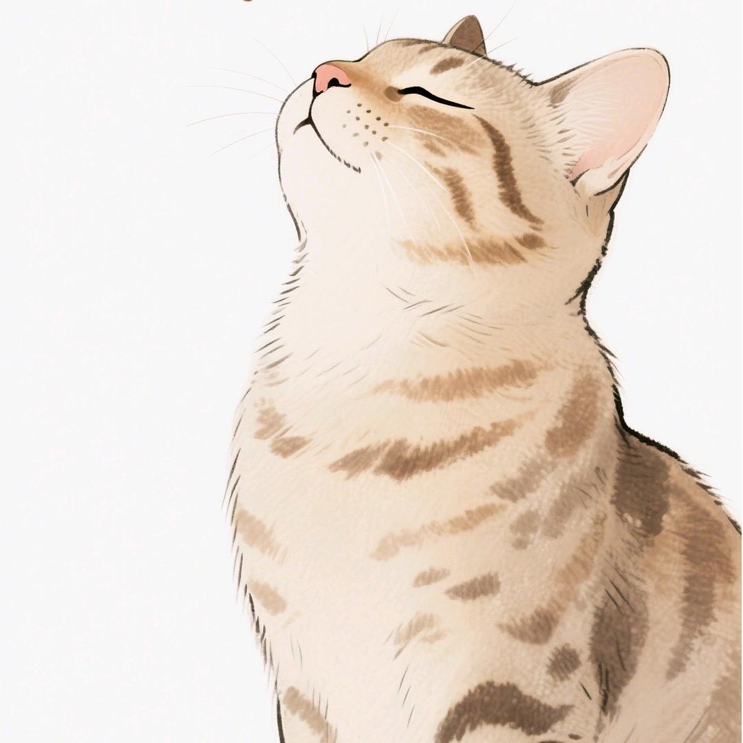 清秋