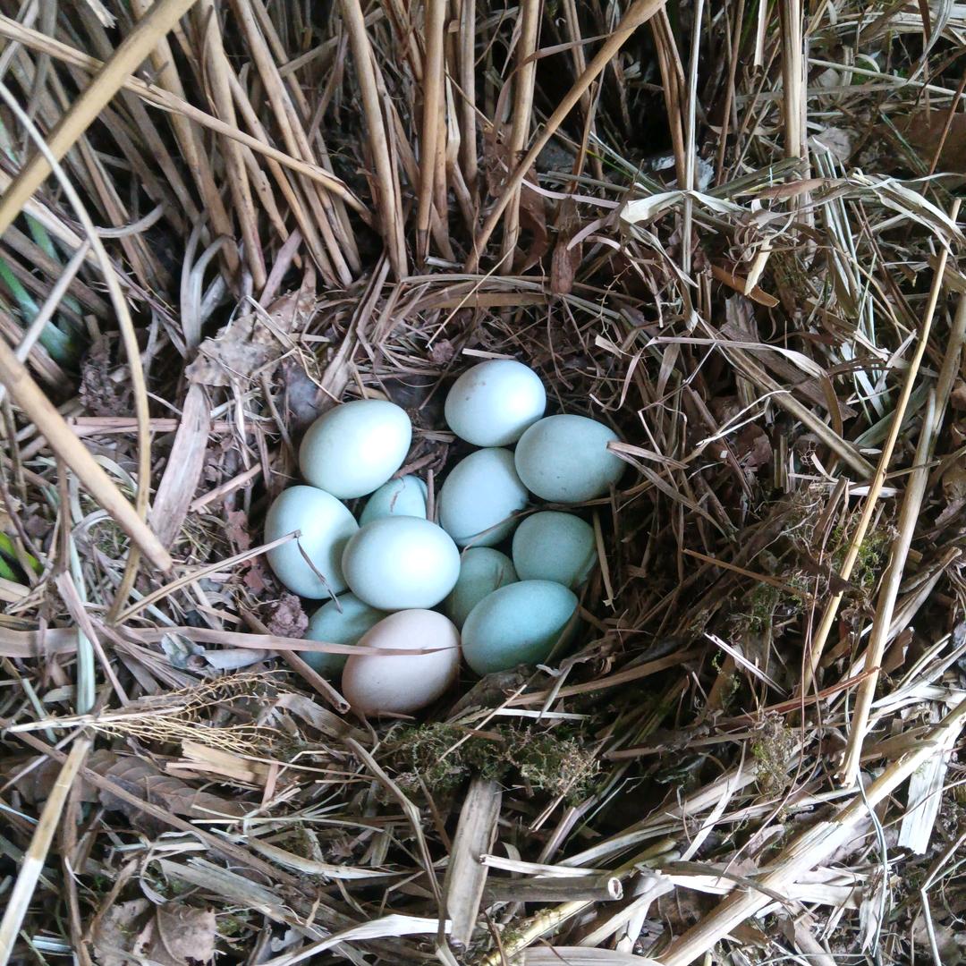 山野农夫农品汇