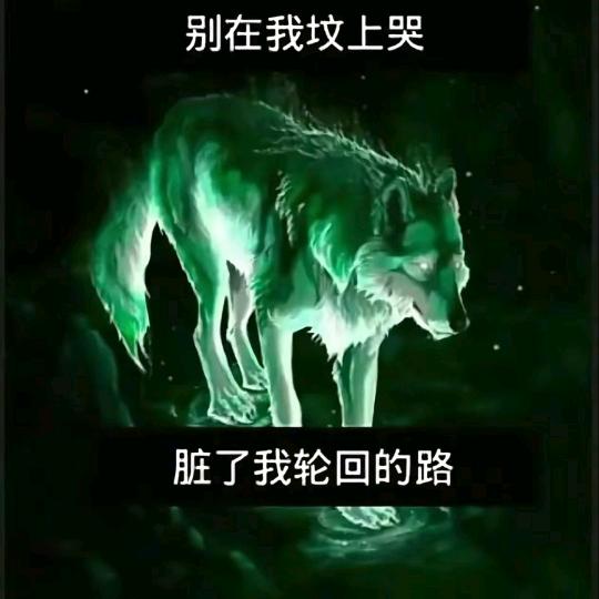 你别不开心