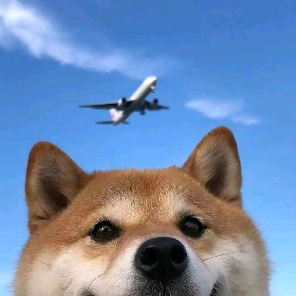 𝑱𝒖𝒍𝒚 𝑫𝒂𝒘𝒏