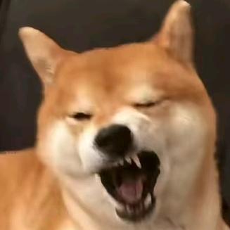 还蛮好