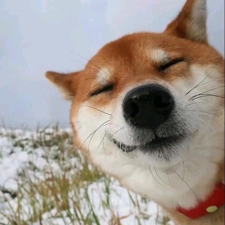 阿杰不会守门