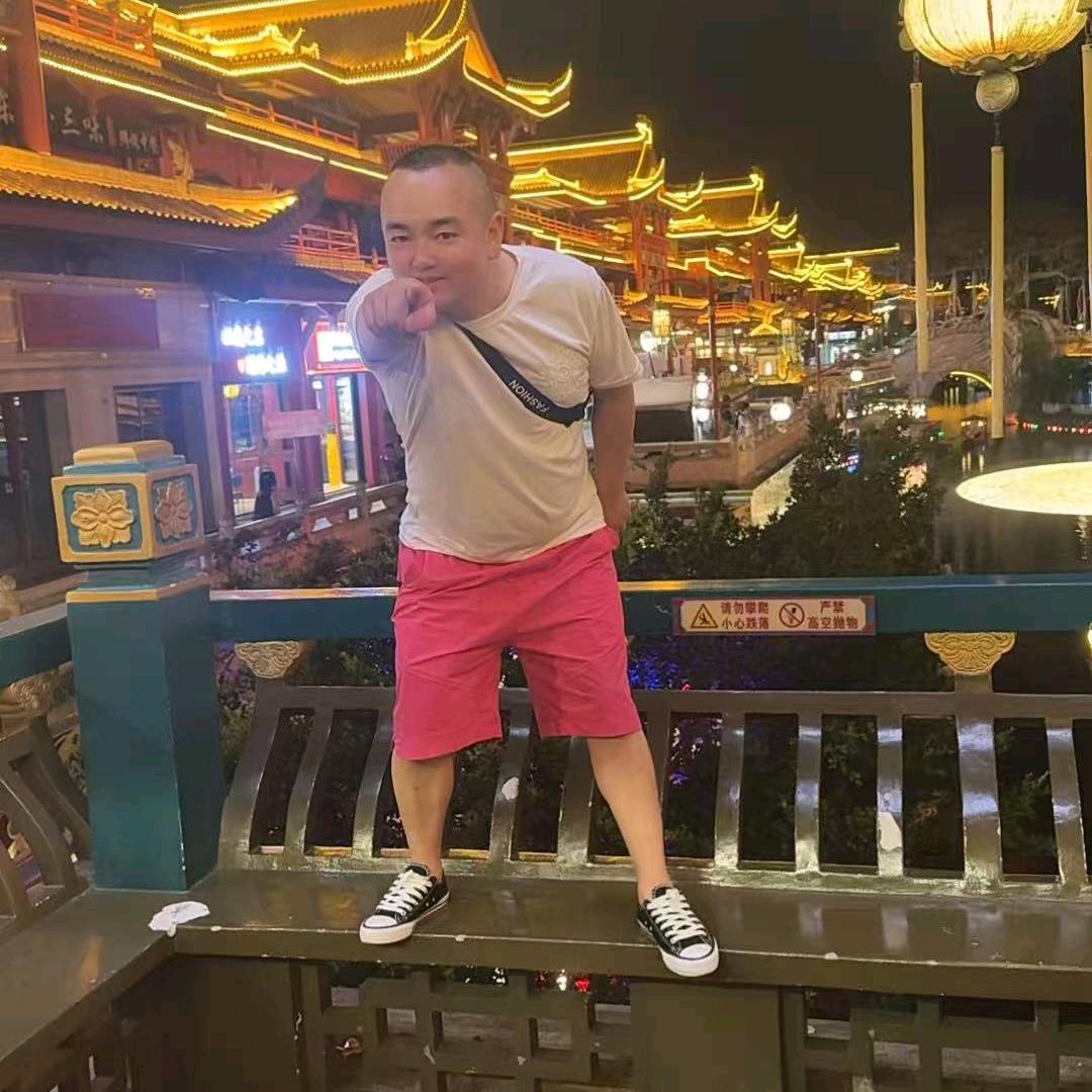 我是一只小燕子