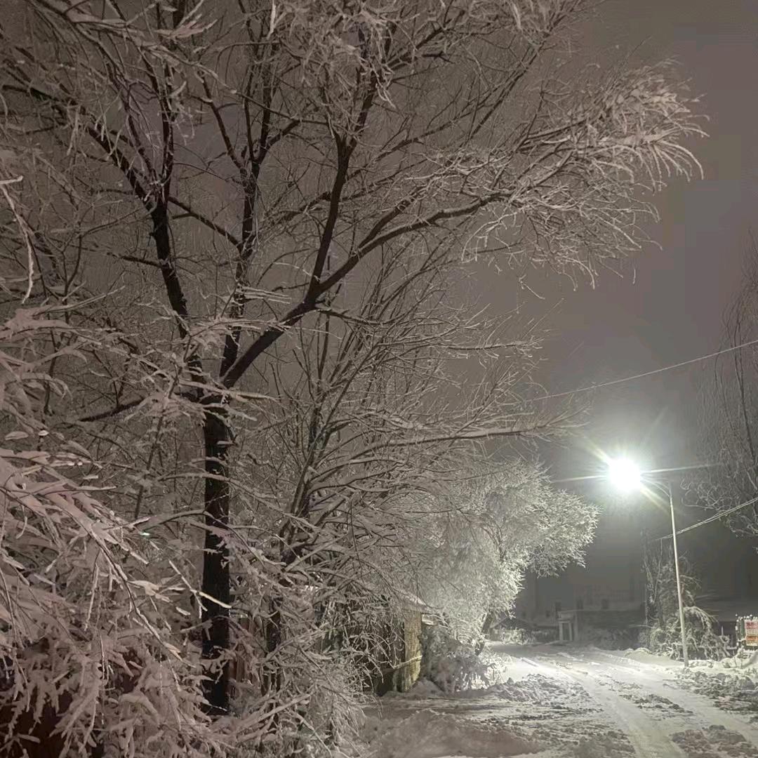 太阳出来我唱歌歌