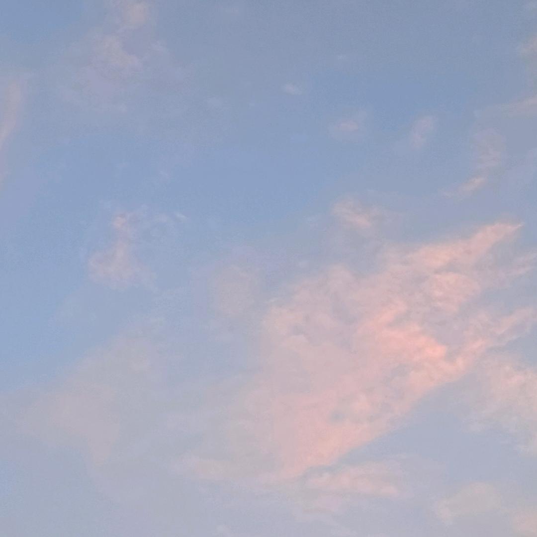 芸宝*