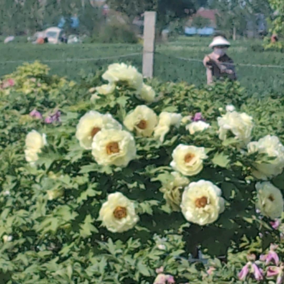 曹县新起点升学咨询