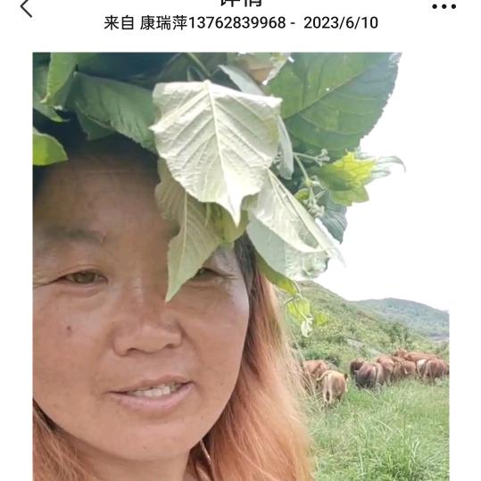 平安飞翔