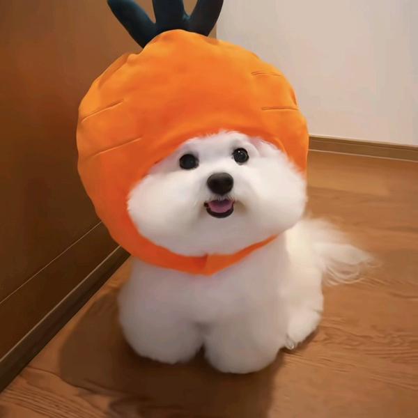 旺老师