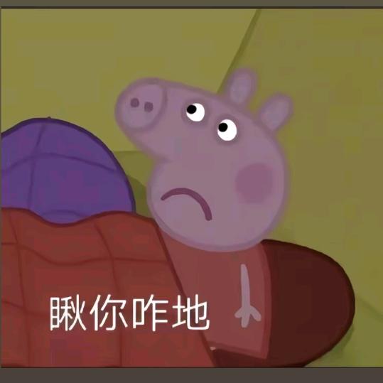 蛋挞（已有龟）