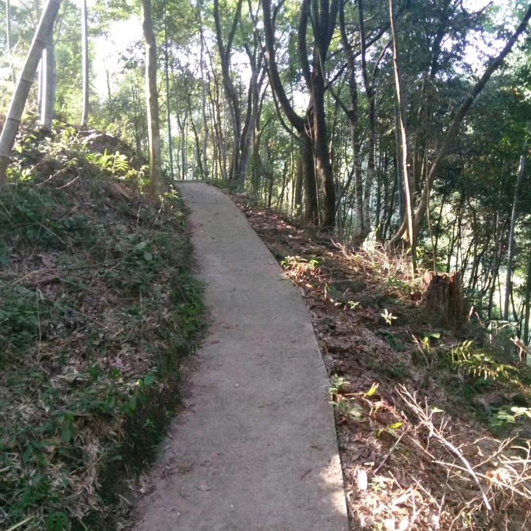 小良子