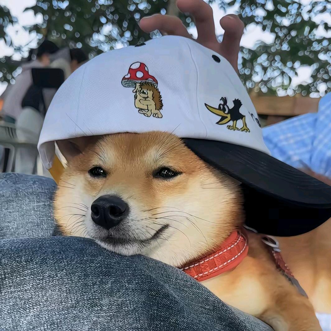 －你总骗我＾