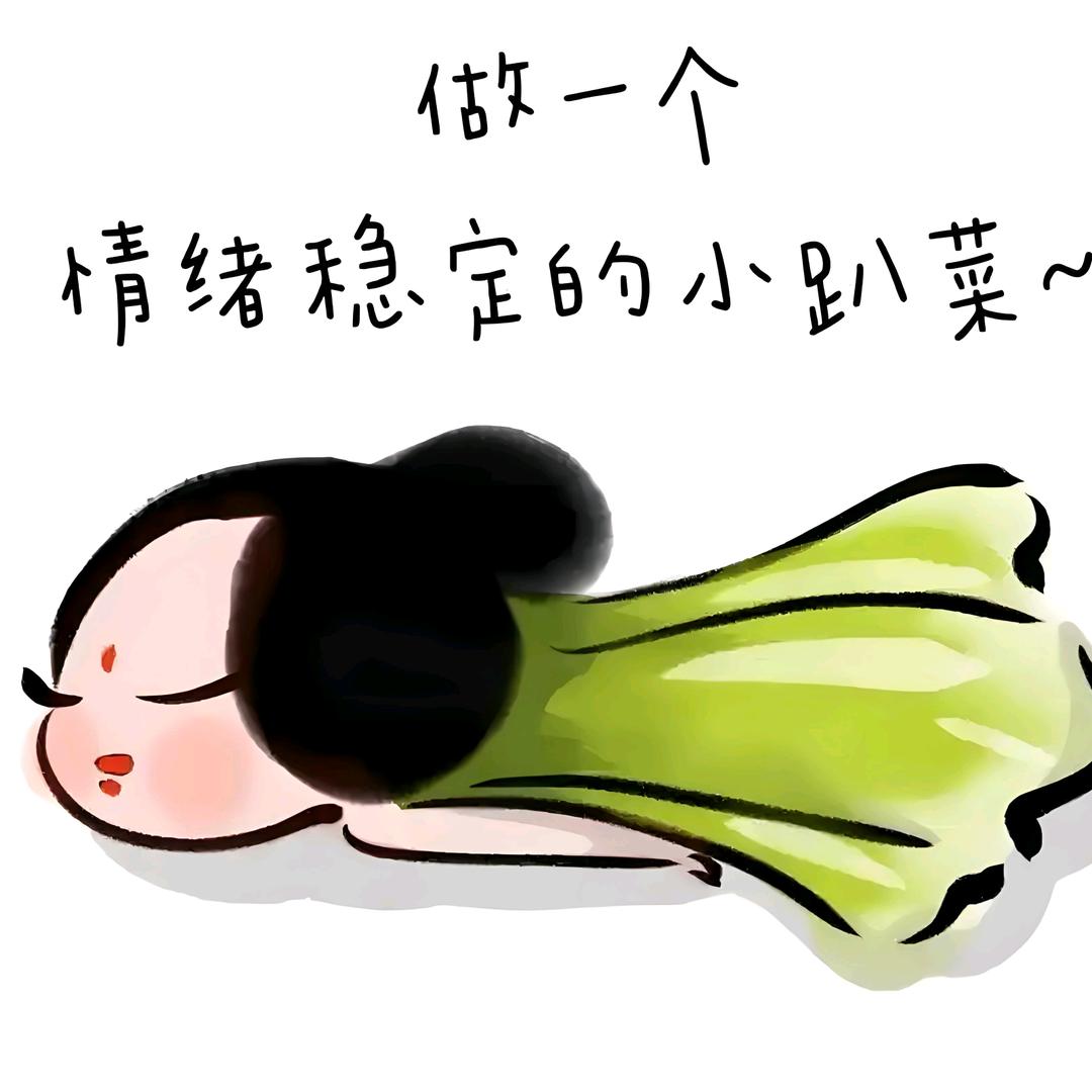 菜菜