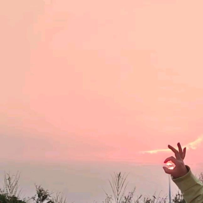 茫然《已回首》