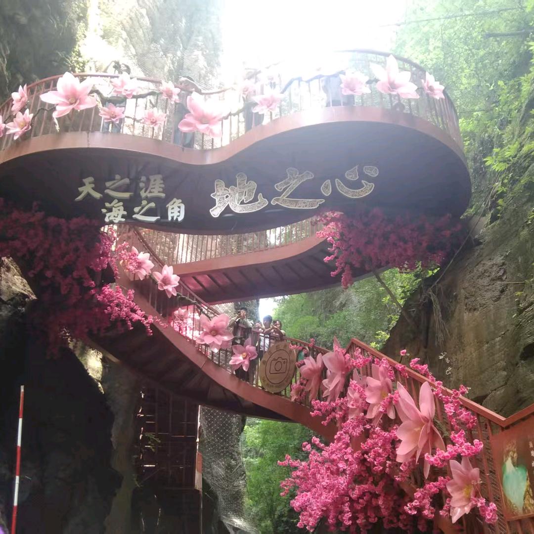 龍游添夏
