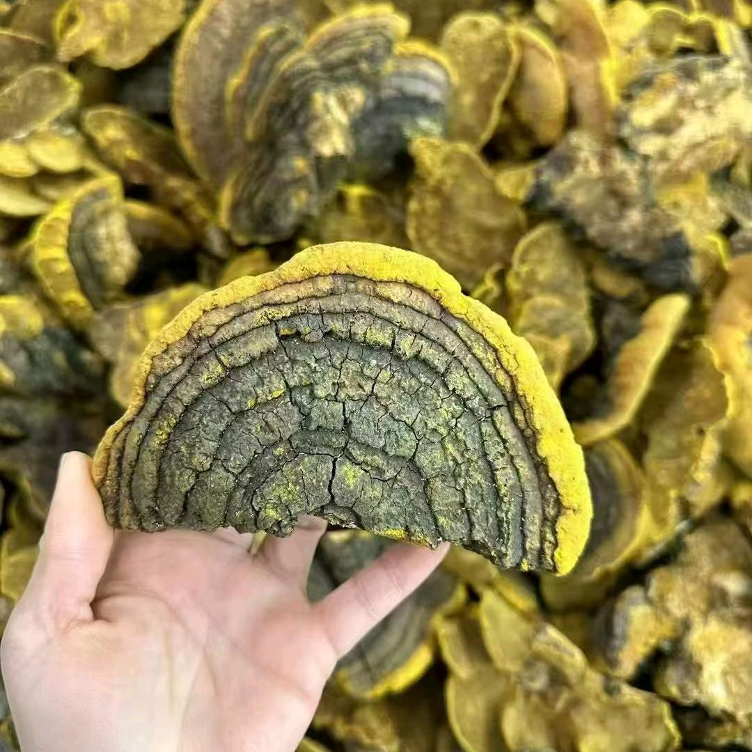 吃货一枚