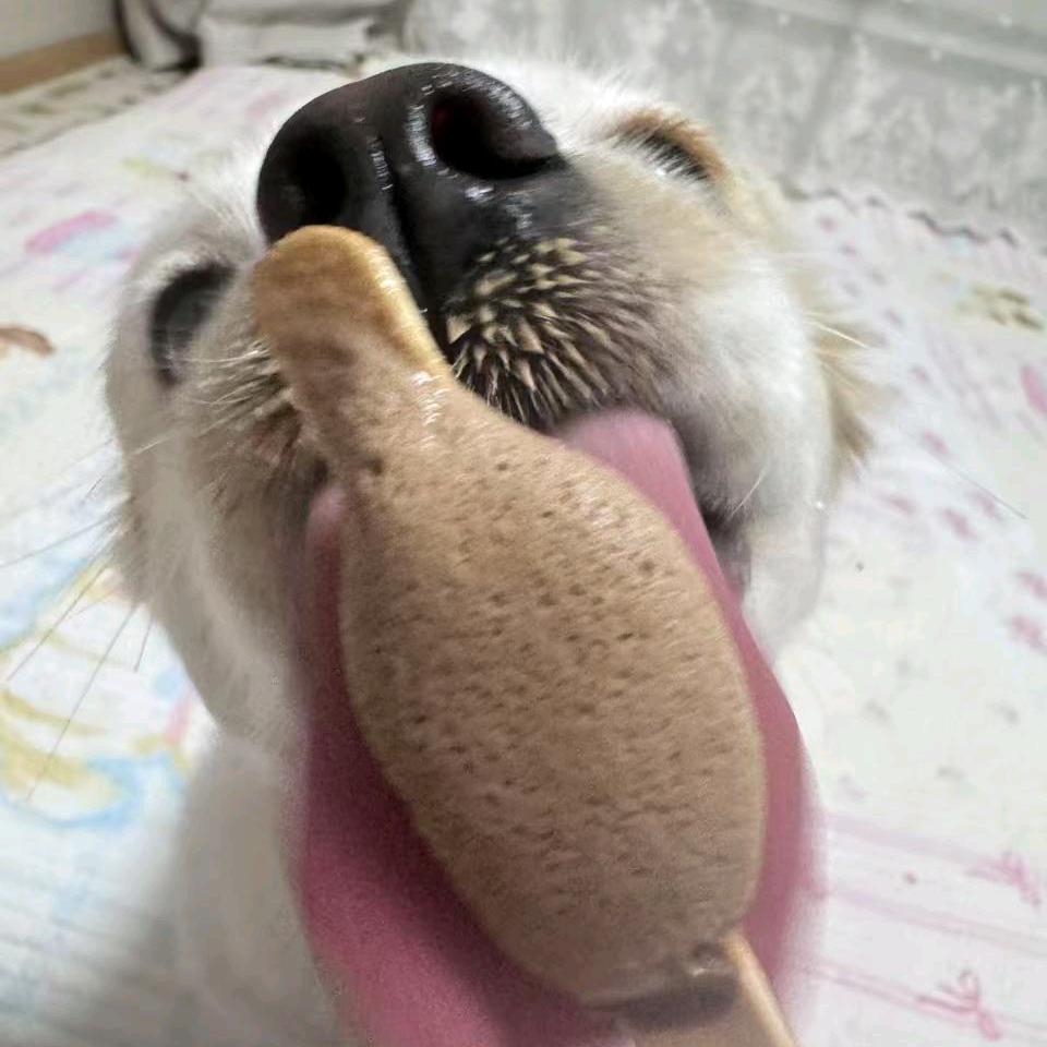 搞怪的大王