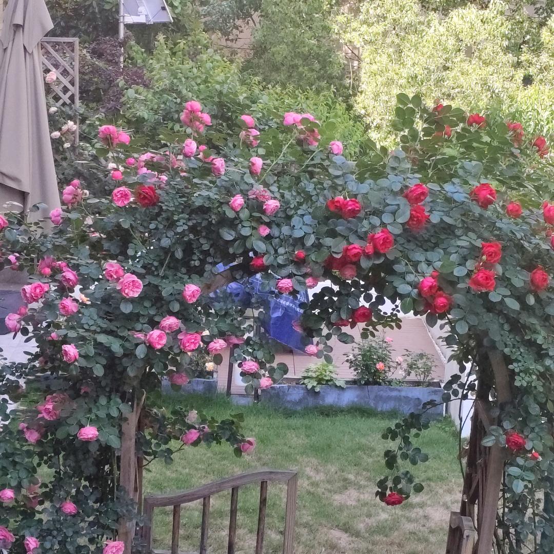 🥀এ᭄累了ꦿ谁💔疼ഒᩚ࿐