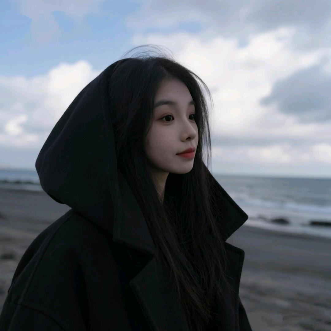 一只大鹅🪿