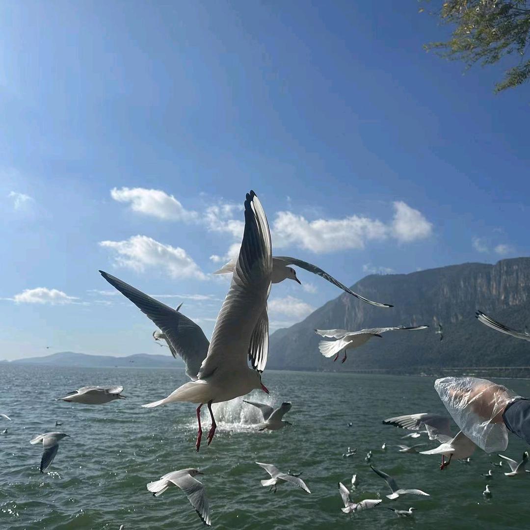 🚬꧔小℘飞ᝰ哥᭄ᩚ꯭