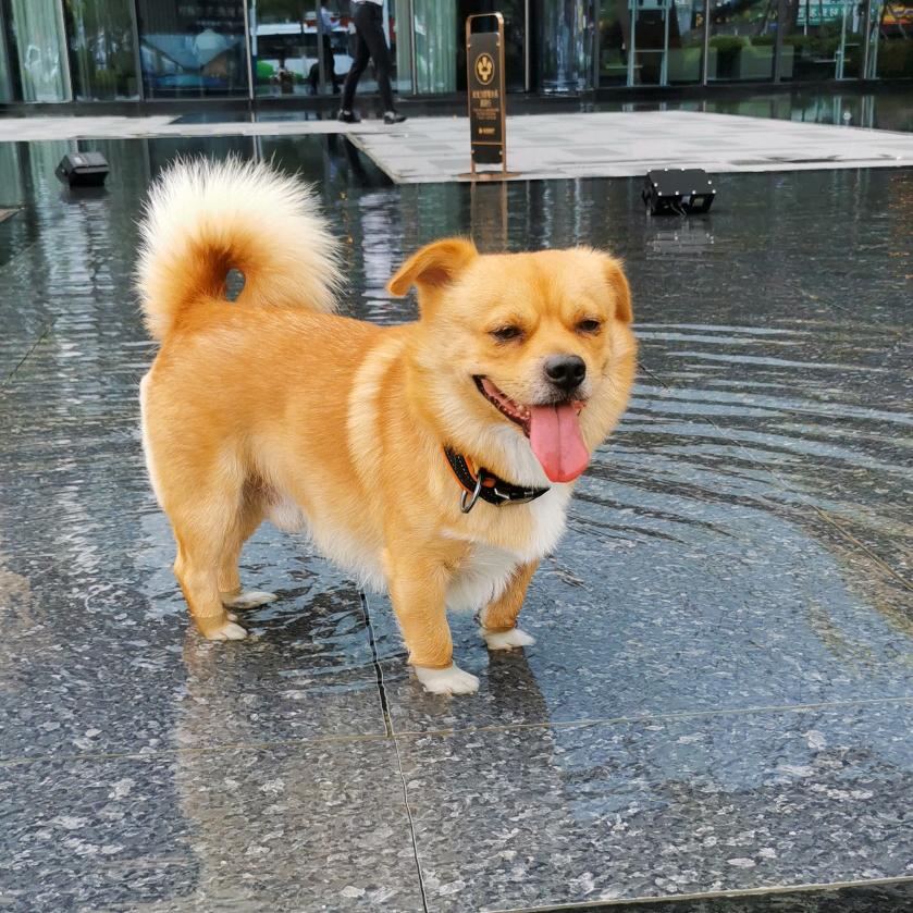 宇宙⭐️空🇨🇳