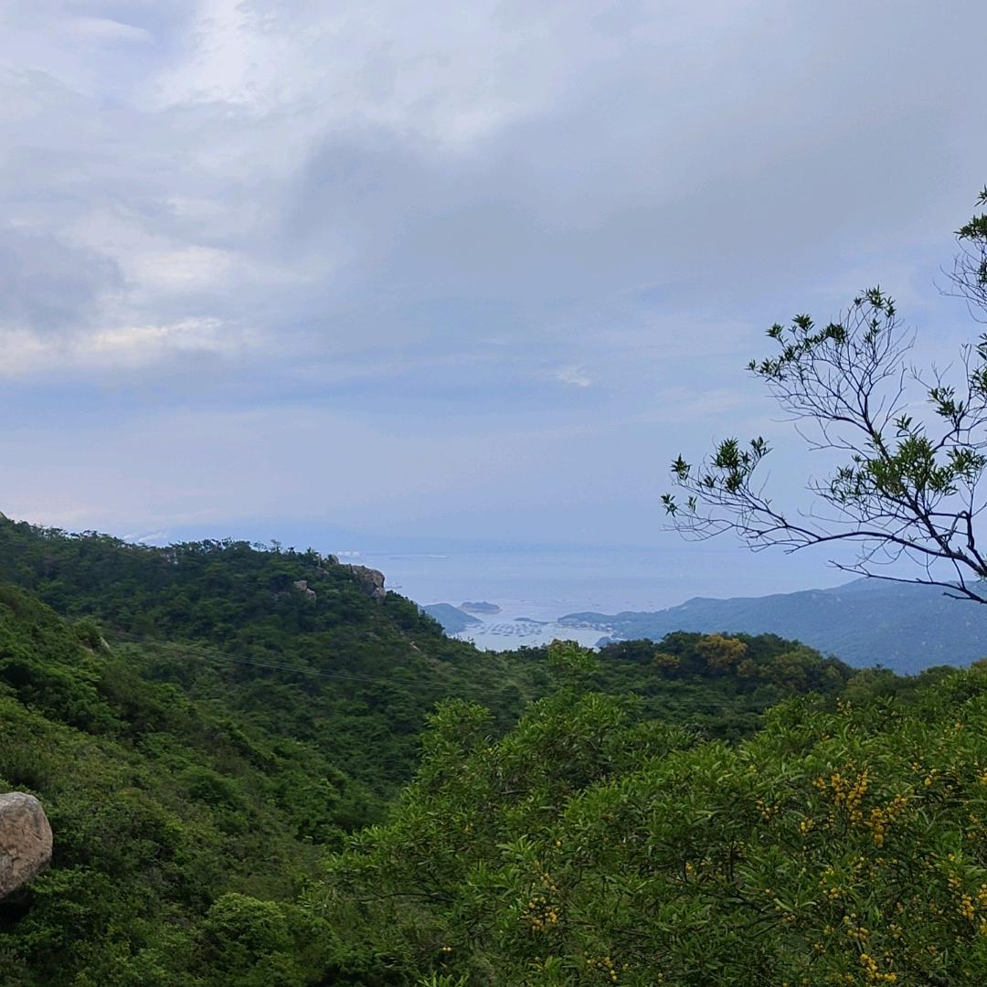 山河不入梦