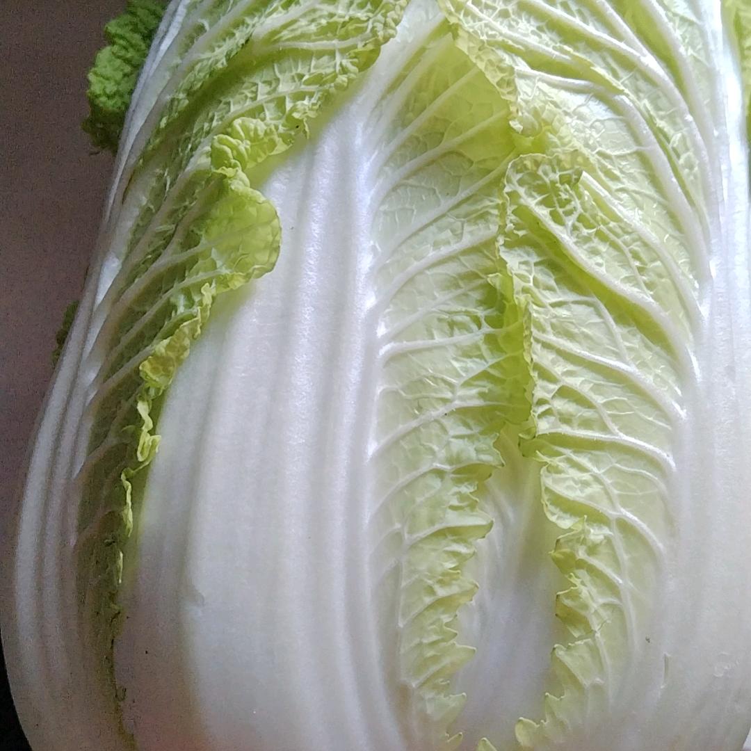 老阿姨（7753191）