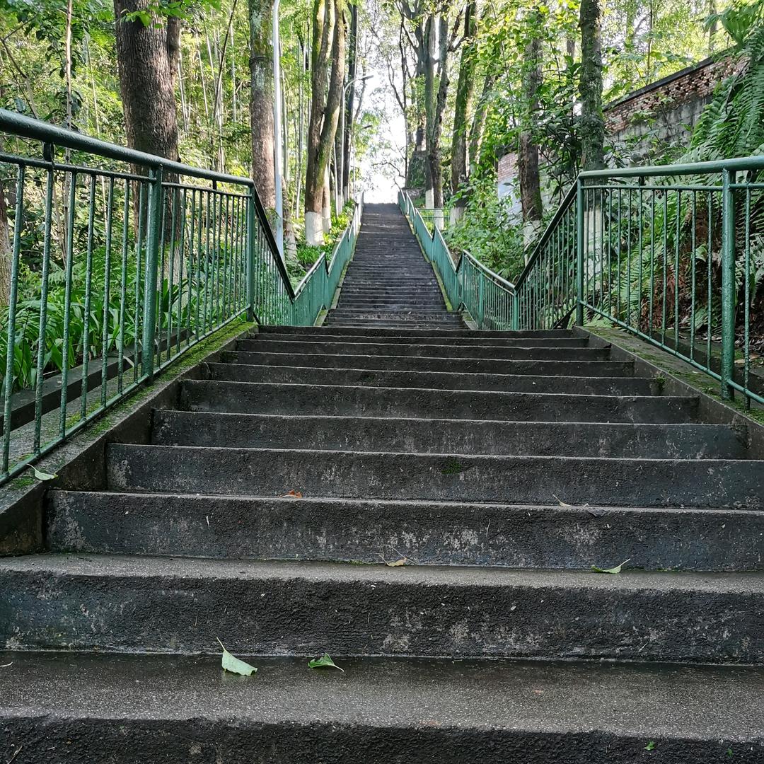 前路漫漫亦灿灿