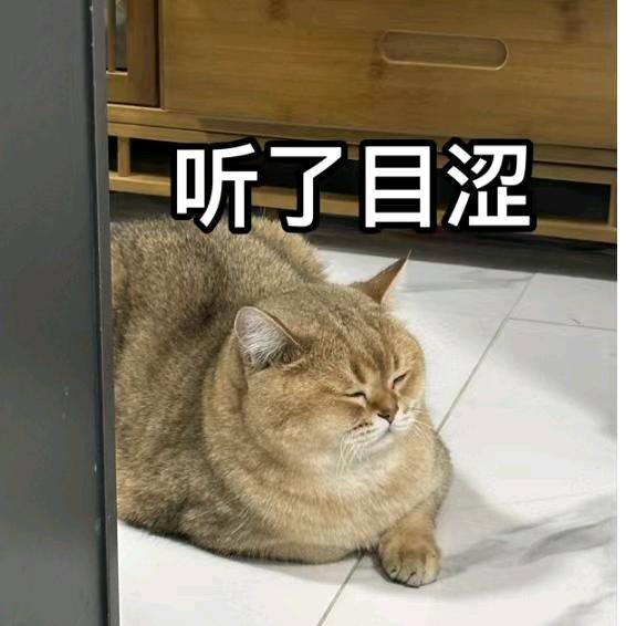 用户438438