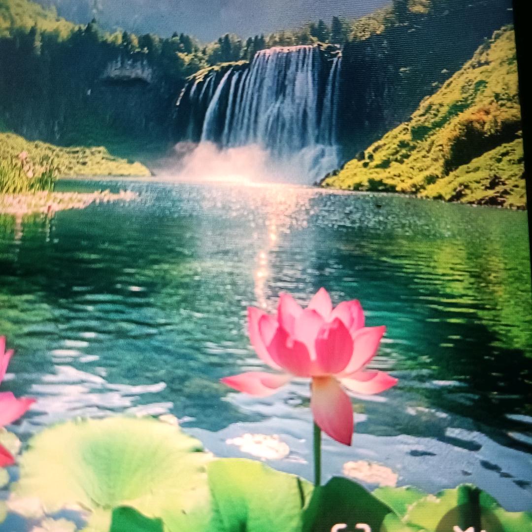 明天会更好。