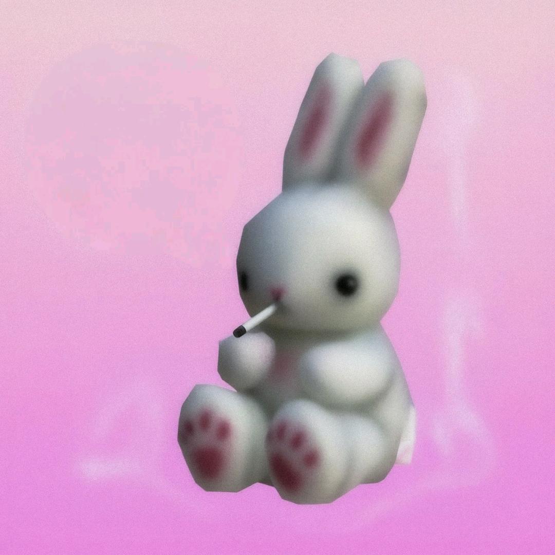 KN·宁